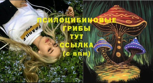 марки lsd Вяземский